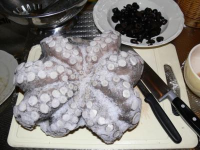 vers uit de vriezer